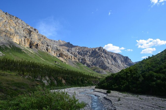 Small-Group Flight Denali National Park Tour With Guided Hike - Good To Know