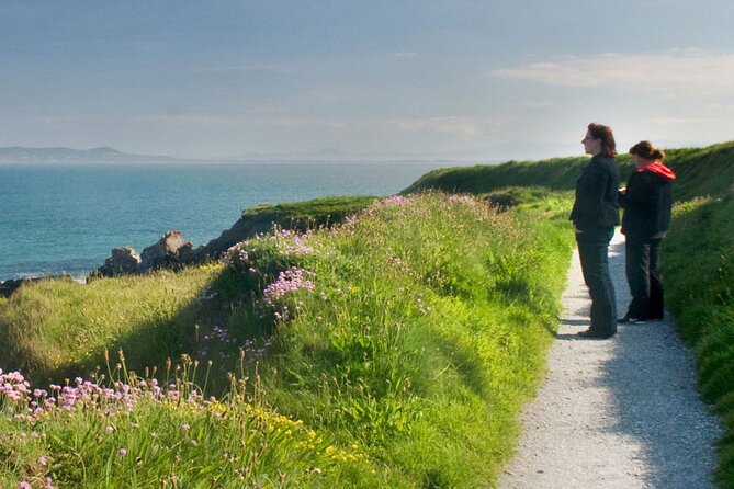 Small-Group Guided Coastal Walking Tour From Killiney to Dun Laoghaire - Key Points