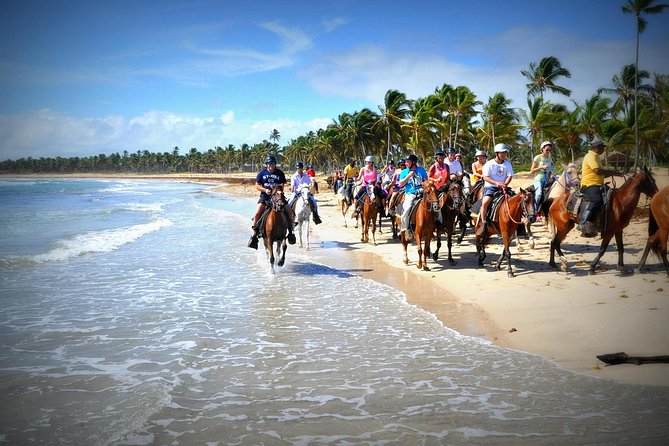 Small-Group Half-Day Horseback Riding Tour From Punta Cana - Good To Know