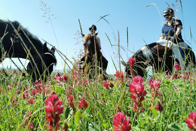 Small-Group Horseback Tour of Tuscany  - Siena - Good To Know