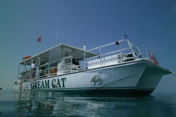 Small Group Key West Snorkel Adventure - Overview and Details