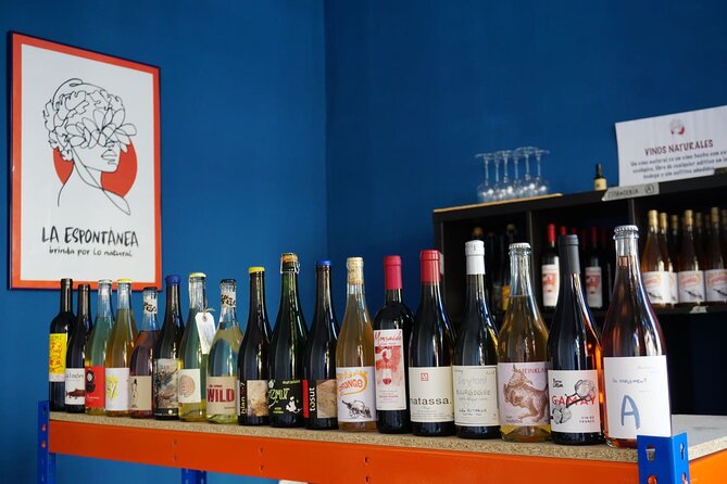 Small-Group Natural and Organic Wine Tasting Near Sitges - Good To Know