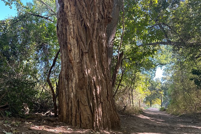 Small Group Scenic Waco Hiking Tour - About Your Stay