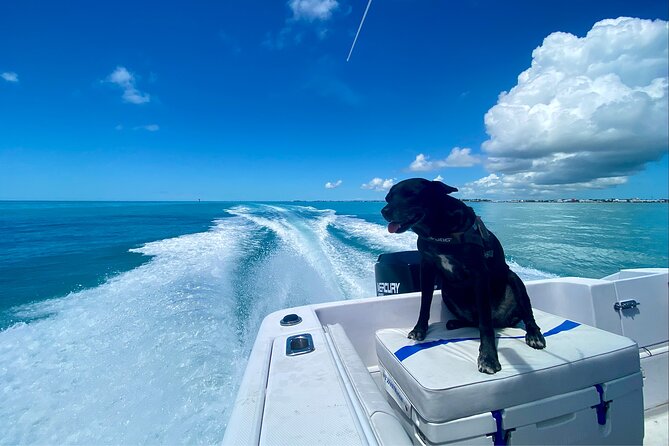 Snorkel the Coral Reef and Explore the Waters of Key West - Tour Overview