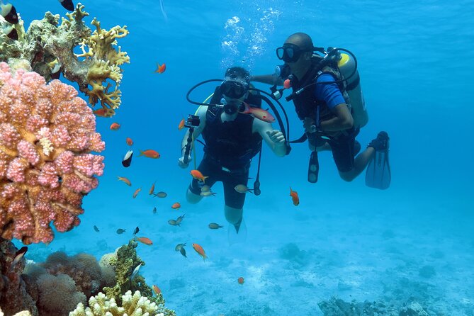 Snorkeling Day White Island & Ras Mohamed With Top VIP Yacht