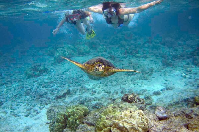 Snorkeling Experience in Santa Maria Bay by Boat - Good To Know