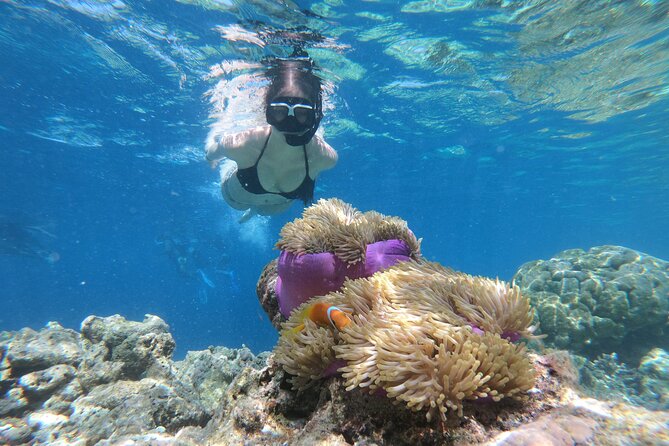 Snorkeling Tour at Blue Lagoon With Private Hotel Transfer - Good To Know