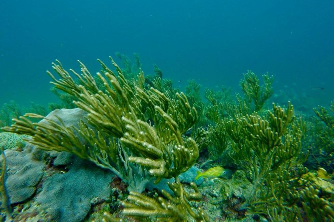 Snorkeling Tour (with Light Refreshments) - Itinerary Details