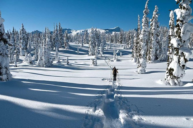 Snowshoe Through Vancouvers Winter Wonderland - Good To Know