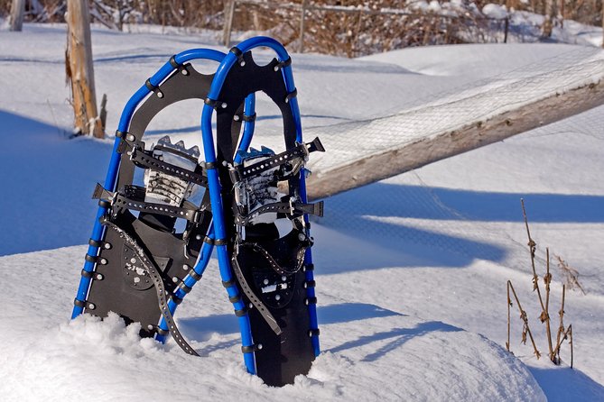 Snowshoe Tour at Chena Lakes - Good To Know