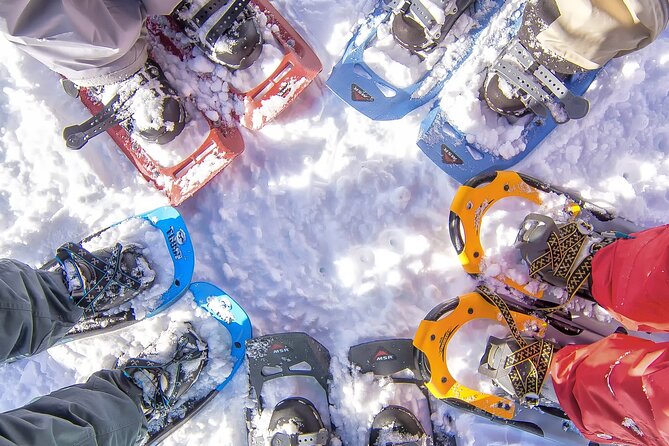 Snowshoeing in Chamonix, With a Private Guide - Good To Know