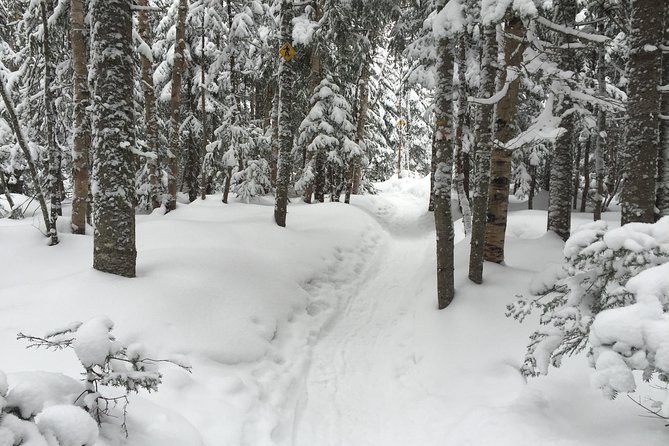 Snowshoeing Tour in Jacques-Cartier National Park - Tour Overview and Highlights