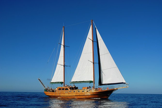 South Fuerteventura VIP Cruise on Board a Turkish Gulet - Good To Know