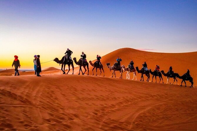 Splendors of Morocco 9 Days - Exploring Casablanca