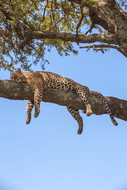 Sri Lanka: 4-day Tour Wildlife and Beach - Wildlife and Nature Experiences
