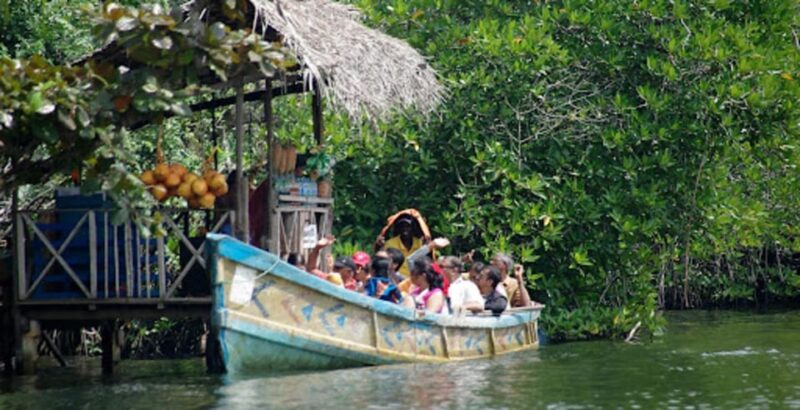 Sri Lanka: Discovery Tour to South Coast to Culture Capital - Good To Know