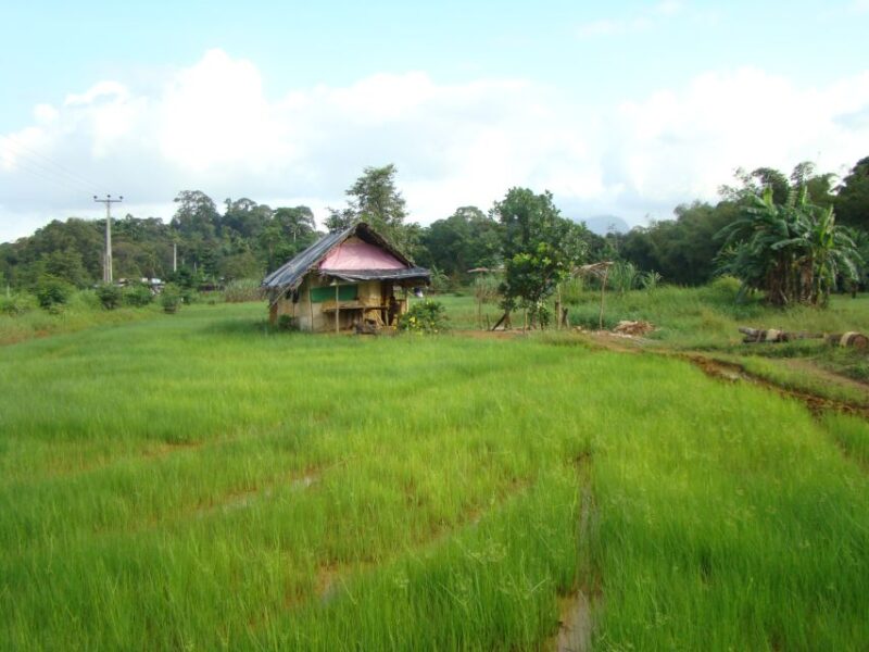 Sri Lanka - Private Ratnapura Gem Tour With Industry Expert - Good To Know