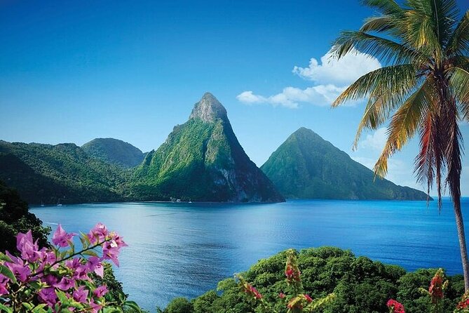 St. Lucia Rainforest Eco-Explorer: Aerial, Zip, and Hike Combo - Tour Overview