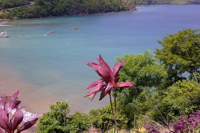St. Lucia Volcano Tour Groups Only - Tour Overview