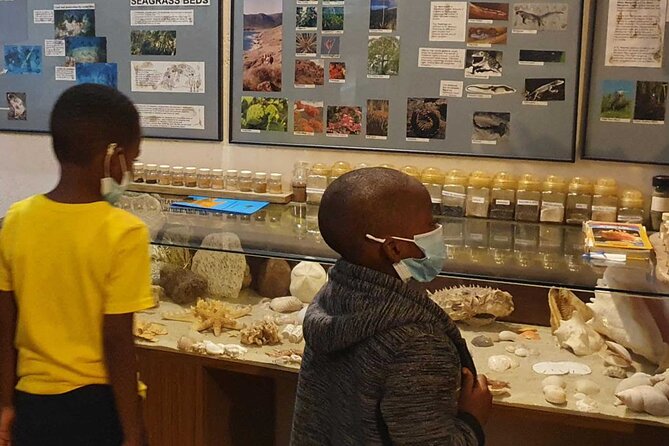 St.Martin - St.Maarten: Small Group, Museum Beach Lunch Tour - Tour Overview