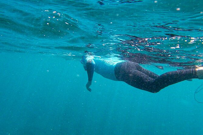 Stand up Paddle and Snorkeling Tour of Gran Canaria With Transfers South Area - Tour Overview