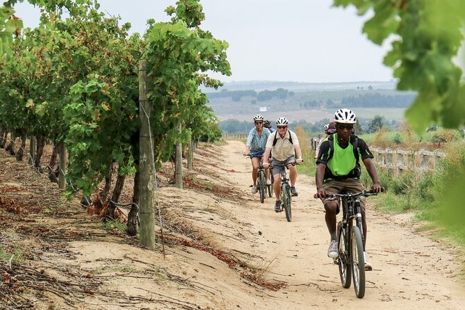 Stellenbosch Winelands Luxury EBike Tour © - Good To Know