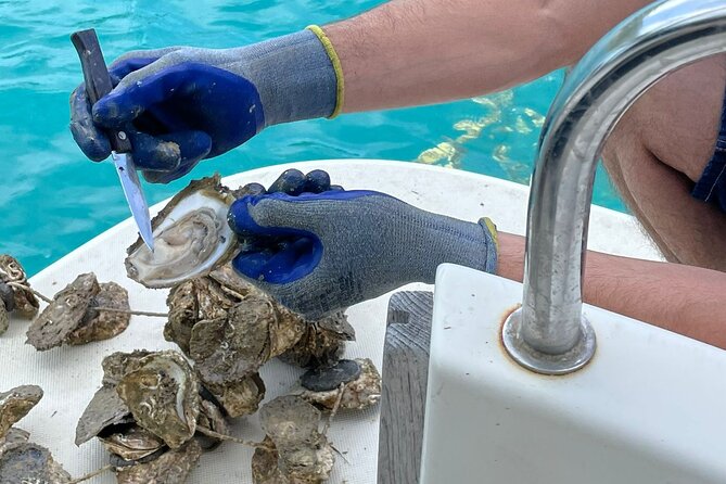 Ston Seafood & PelješA Wine Boat Tour With Oysters and Mussels - Good To Know