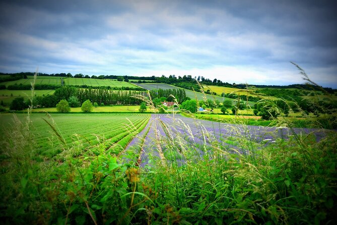 Stratford-Upon-Avon and the Cotswolds - Day Tour From Brighton - Good To Know