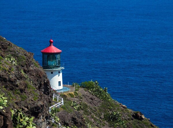 Stunning Views of Oahu! Half-Day Scenic Tour. 7 Lookouts + Photos - Good To Know