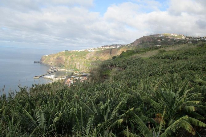 Sugar Route - Levada Nova Review - Key Points