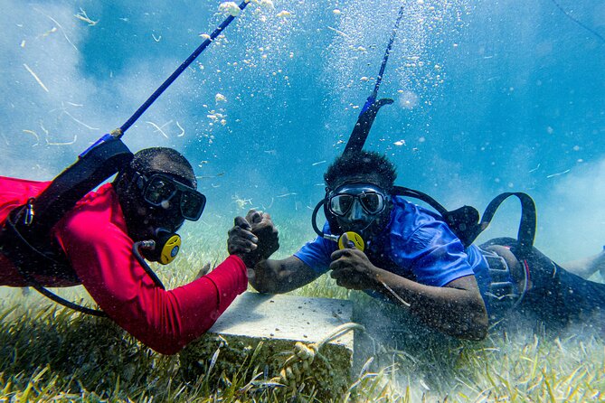 Suncay SNUBA Diving Adventure With Lunch - Inclusions