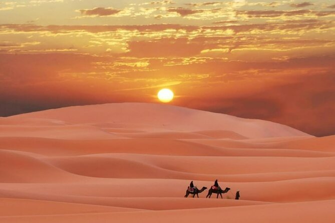 Sunrise or Sunset , Desert Safari Tour in Heart of Qatar - Good To Know