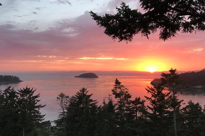 Sunset Canopy Climb on Lopez Island - Good To Know
