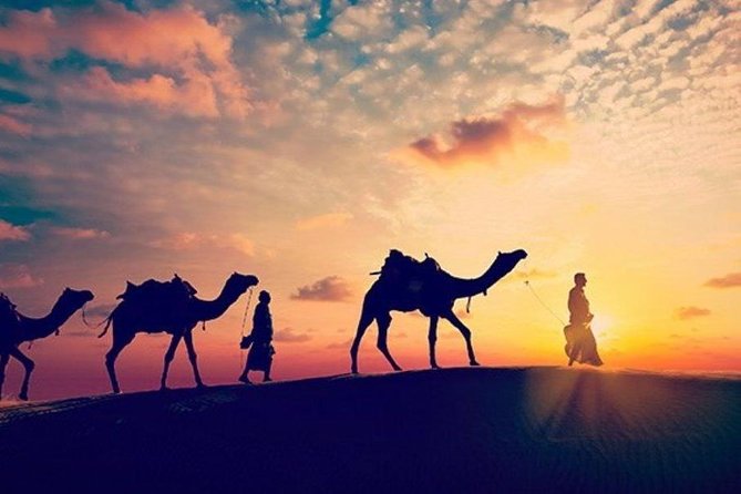 Sunset Desert Safari Trip by Quad Bike From Marsa Alam - Exploring the Sahara Desert