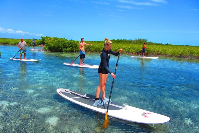 SUP Paddleboard Lesson and Tour - Port Canaveral & Cocoa Beach - Good To Know