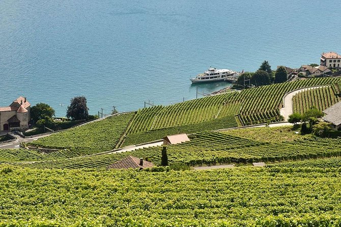 Swiss Wine Tasting at Lavaux Vineyards: Private Trip From Geneva - Good To Know