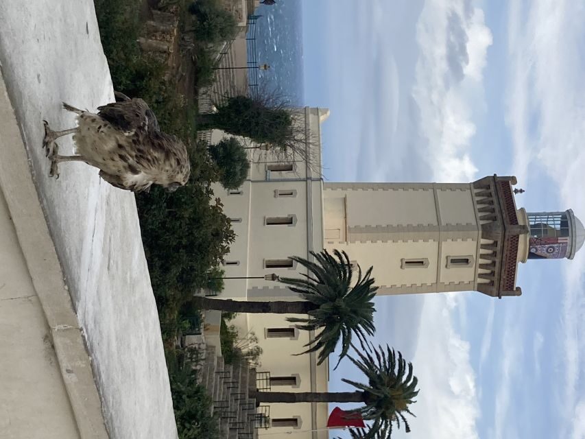 Tangier: City Highlights Discovery Tour