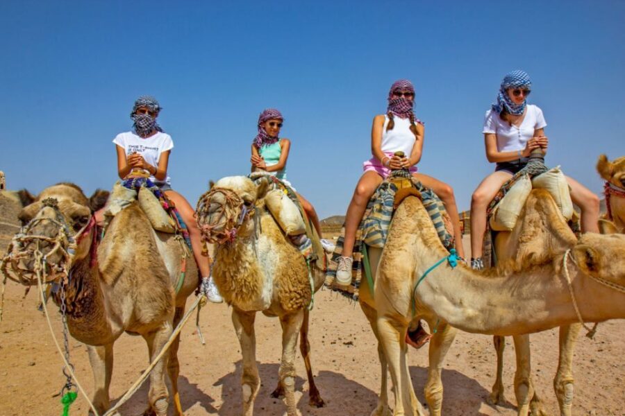 Agadir/Taghazout/Port: Camel Ride Tea & BBQ Option