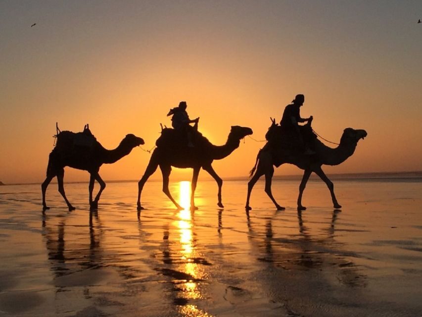 Agadir: Quad Biking and Camel Ride Experience