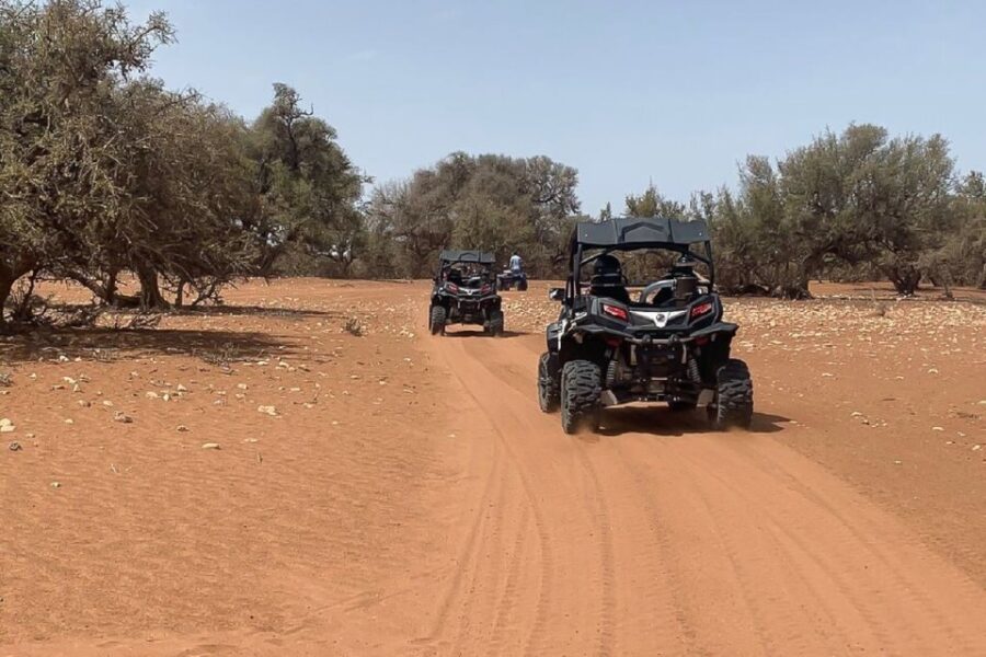 Agadir:Half-Day Desert Dunes Buggy Safari