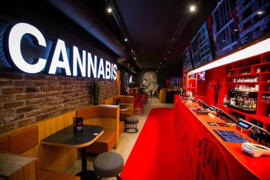 Amsterdam: Guided Ganja Walking Tour of Coffee Shops