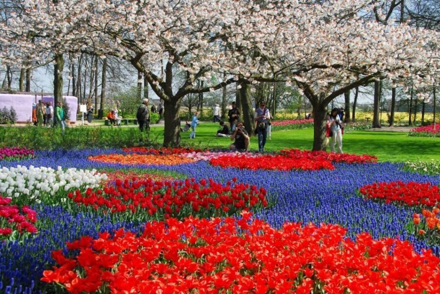 Amsterdam: Keukenhof, Tulip Farm Full-Day Tour With Cruise