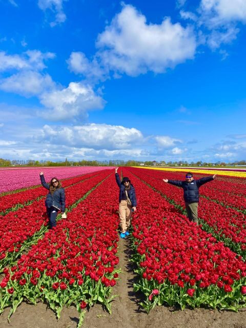 From Amsterdam: Tulip Fields & Windmill Day Trip With Lunch