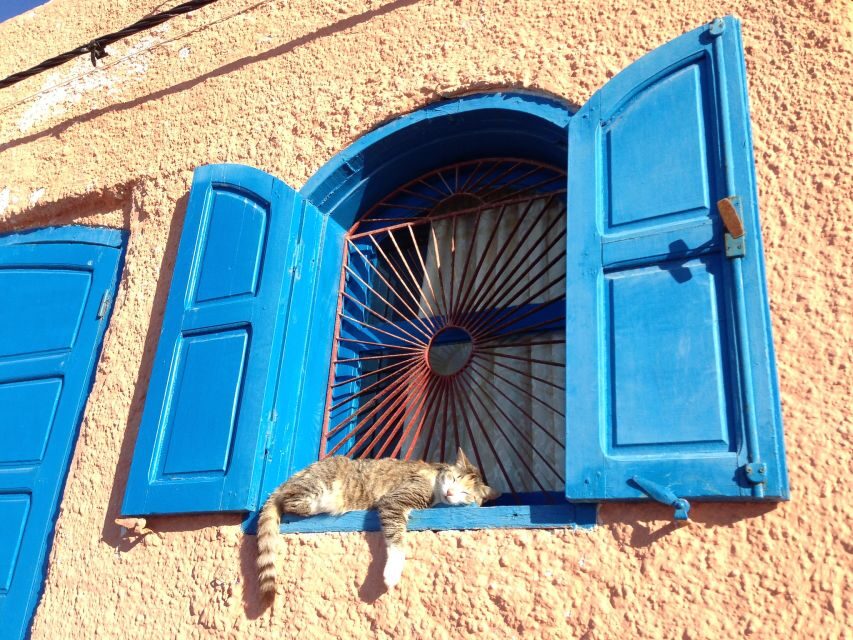 Agadir: Private City Tour With Kasbah & Agadir Museum Access
