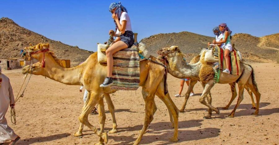 Agadir: Flamingo River Sunset Camel Ride With BBQ Diner