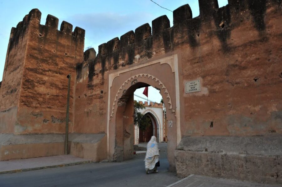 Taroudant and Tiout Oasis Trip With Lunch