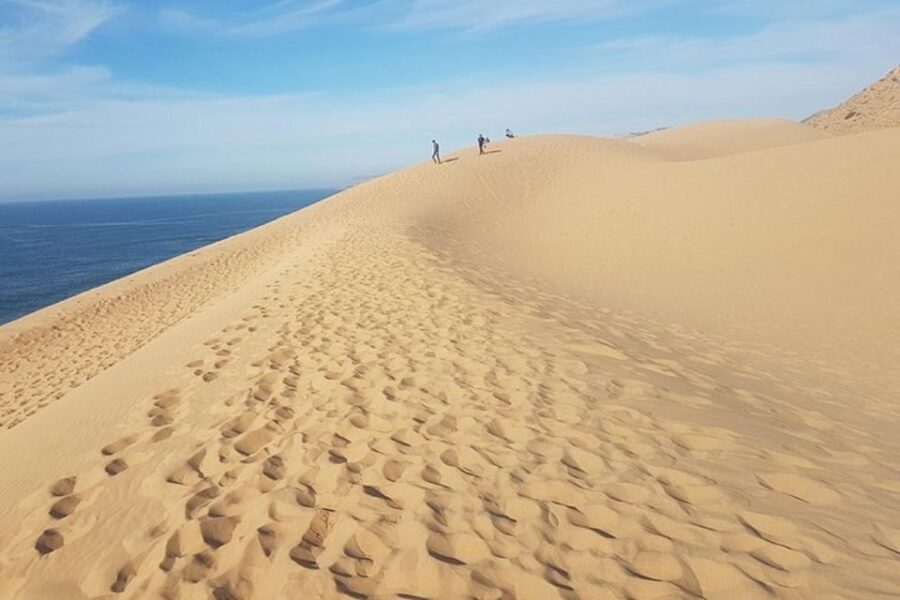 Half Day Desert Sand Boarding Experience With Dinner