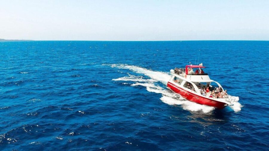 Los Cristianos: Eco Yacht Whale Watching Tour at Sunset