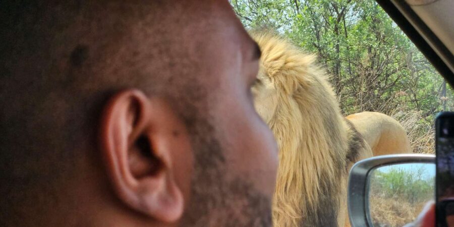 Private Safari Tour: Pilansberg National Park Big 5