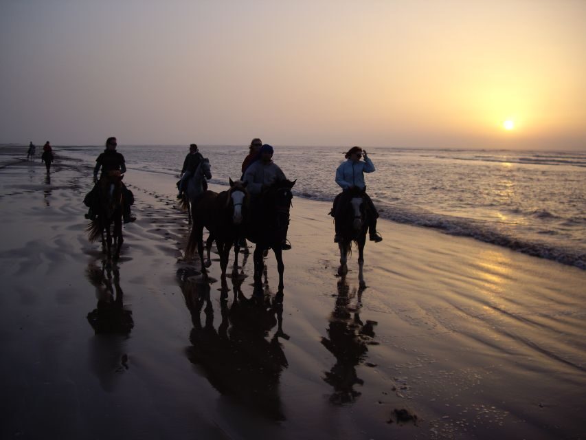 Essaouira: Full-Day Horse Riding Tour With Lunch